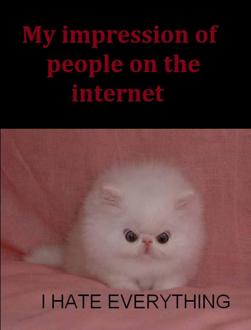 People on the internets - meme