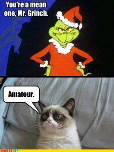 You're a mean one, grumpy cat! :) - meme