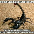 Scorpions are pretty cool...as long as they are in cages...