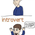 forever an introvert