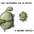 turtle hugs! everyone needs one