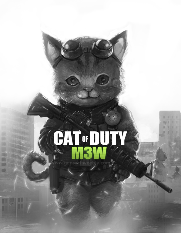 cat of duty mw3 - meme