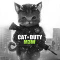 cat of duty mw3