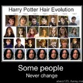 Harry potter timeline