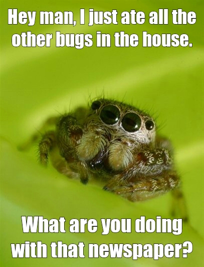 give me your sandwich! I hungry... - meme