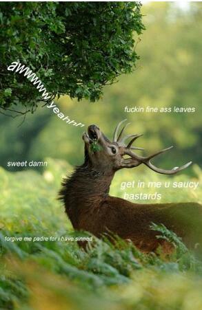 oh you natural thing you - meme