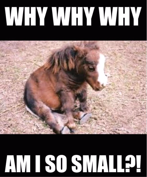 sad horse! - meme