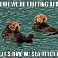 cute otters
