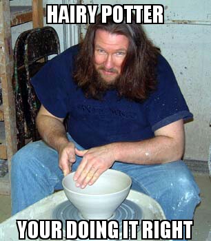 Hairy Potter and the Sorcerer is Stoned - meme