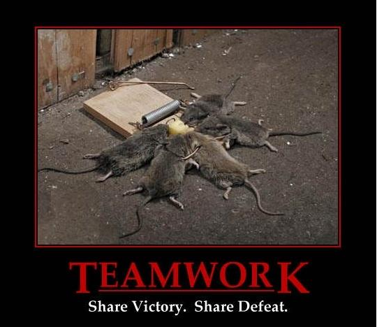 Teamwork - meme