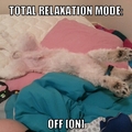 Total Relaxation