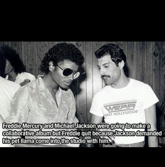Freddie Mercury and Michael Jackson... what is possibly better than this? - meme