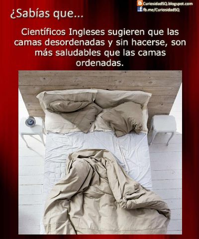 Mi mama estaba equivocada - meme