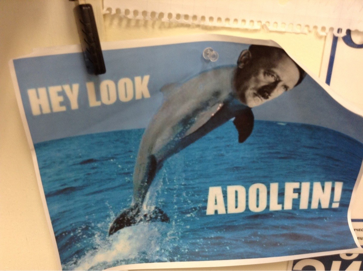 Hey Look Adolfin