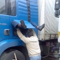 camionista