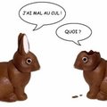 lapin-chocolat=lapin-crétin