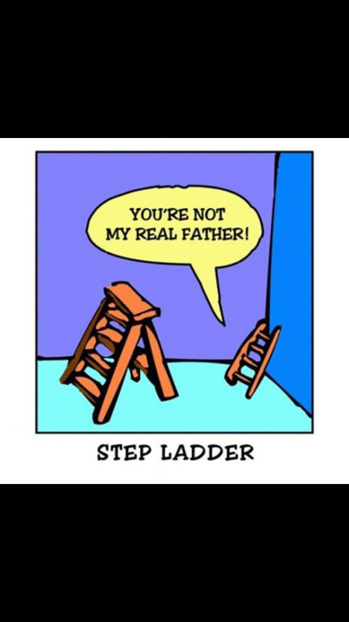 I like ladders - meme