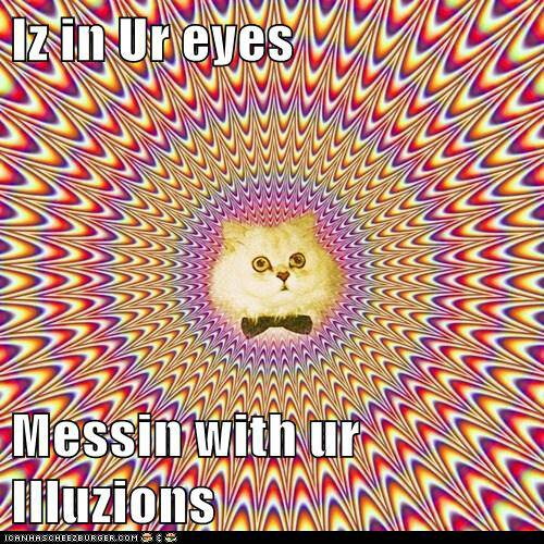 Illusion cat - meme