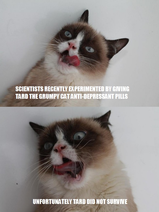 poor grumpy cat - meme