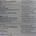 Racist Dictionary!