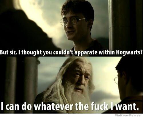 Dumbledore's the fucking man - meme