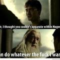 Dumbledore's the fucking man