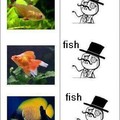 fish...jaja
