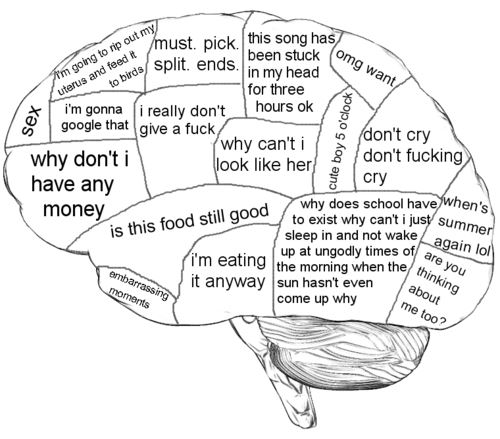 Woman's brain anatomy - meme