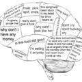 Woman's brain anatomy