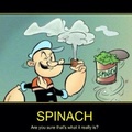 Le spinach of popoye