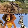 madagascar close enough