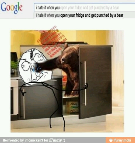 stupid fridge bear - meme