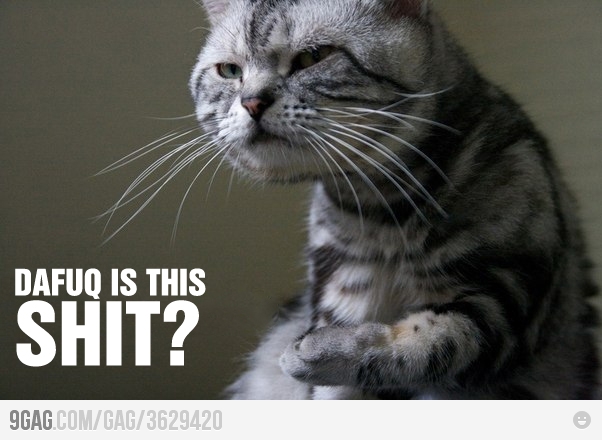 wat - meme