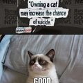 Cats Increase suicide....sound about right