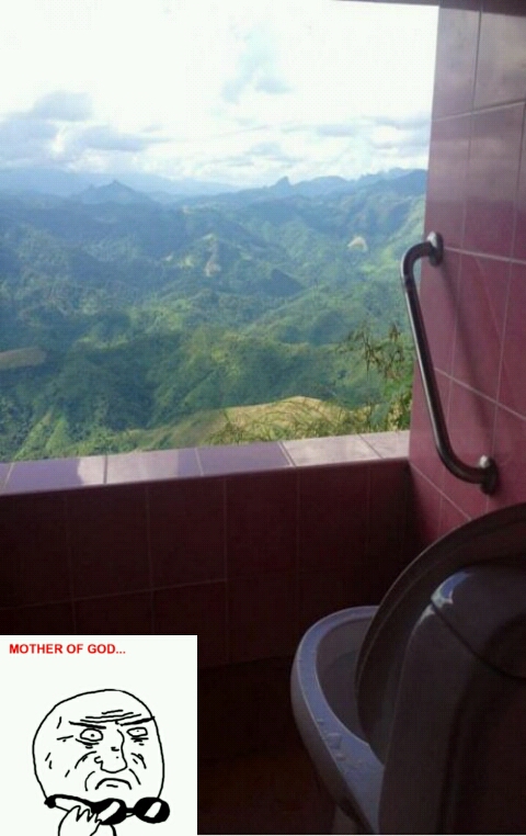 Mother of all toilets - meme