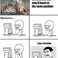 i love cheetahs