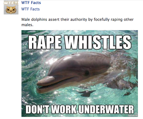 Wtf dolphins?! - meme