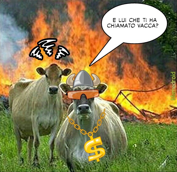 angry ghetto cow meme
