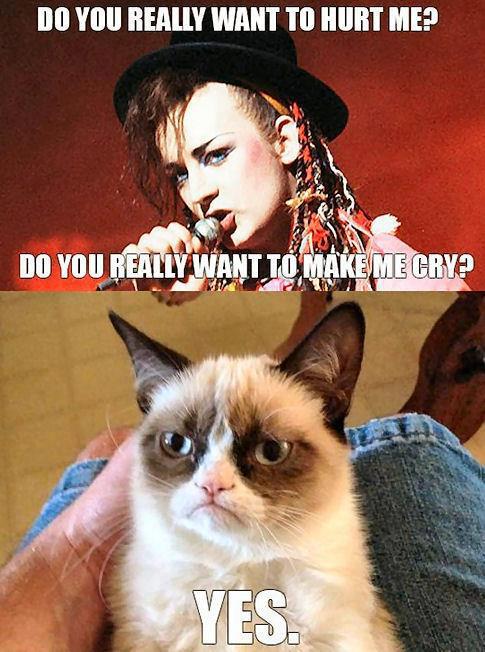 grumpy cat - meme