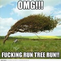 Lol that tree is funny