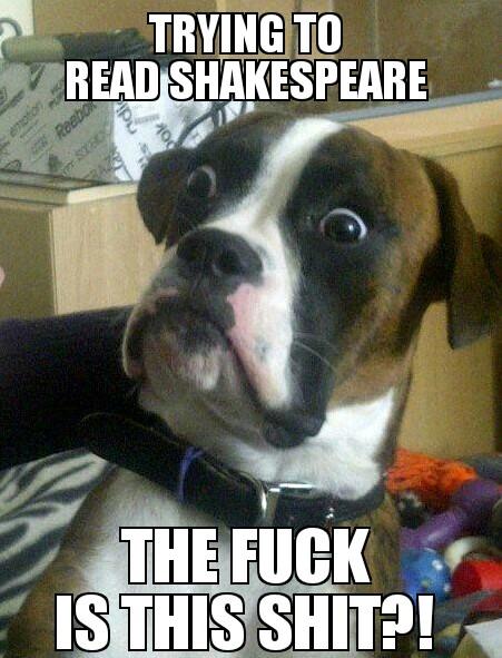 WTF Shakespeare?! - meme