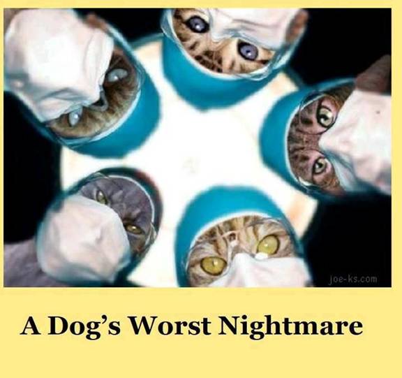 Dog's Worst Nightmare - meme