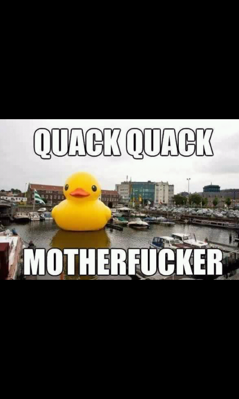 Quack Quack Mother fucker! - meme