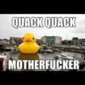 Quack Quack Mother fucker!