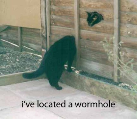 A wormhole - meme
