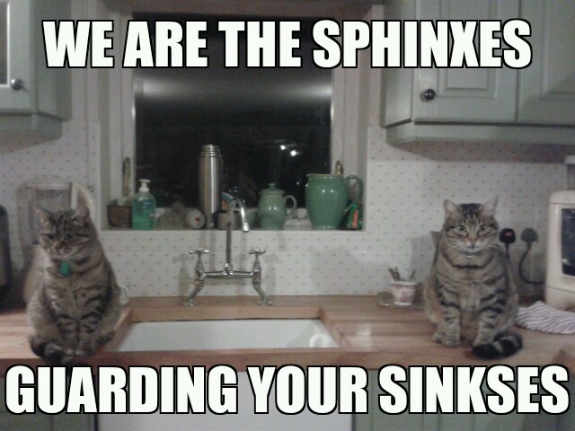 The Sphinxes (My first meme!!)