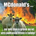 vacas vs MC
